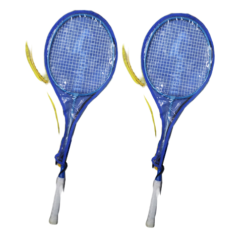 এনিবল anyball badminton